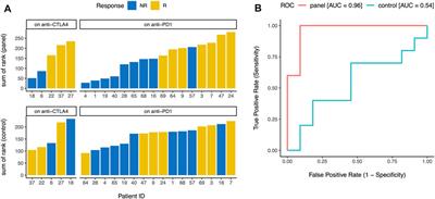 A Gene Panel for Early Identification of Future Responders to Immune Checkpoint Blockade